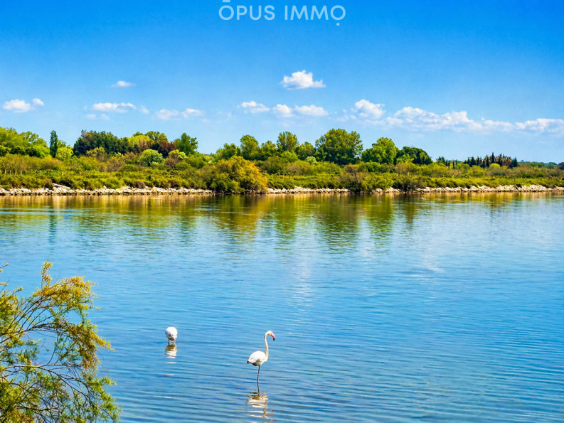 vente Appartement Le Grau Du Roi - Photo 5