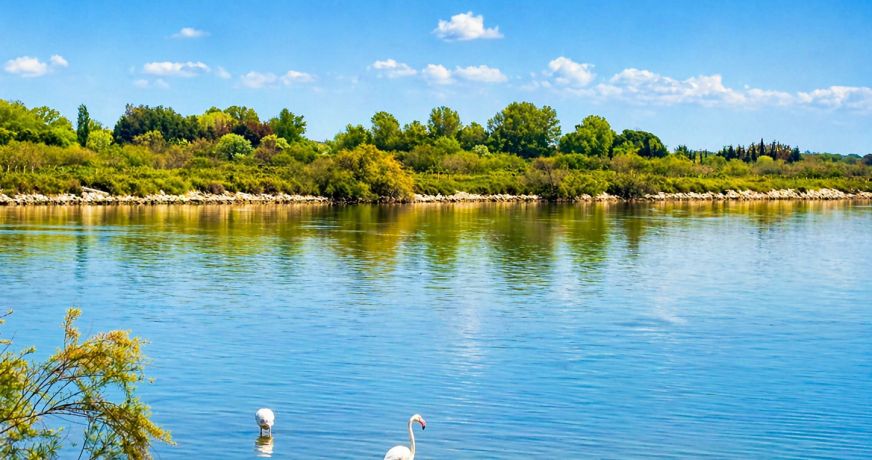 vente Appartement Le Grau Du Roi