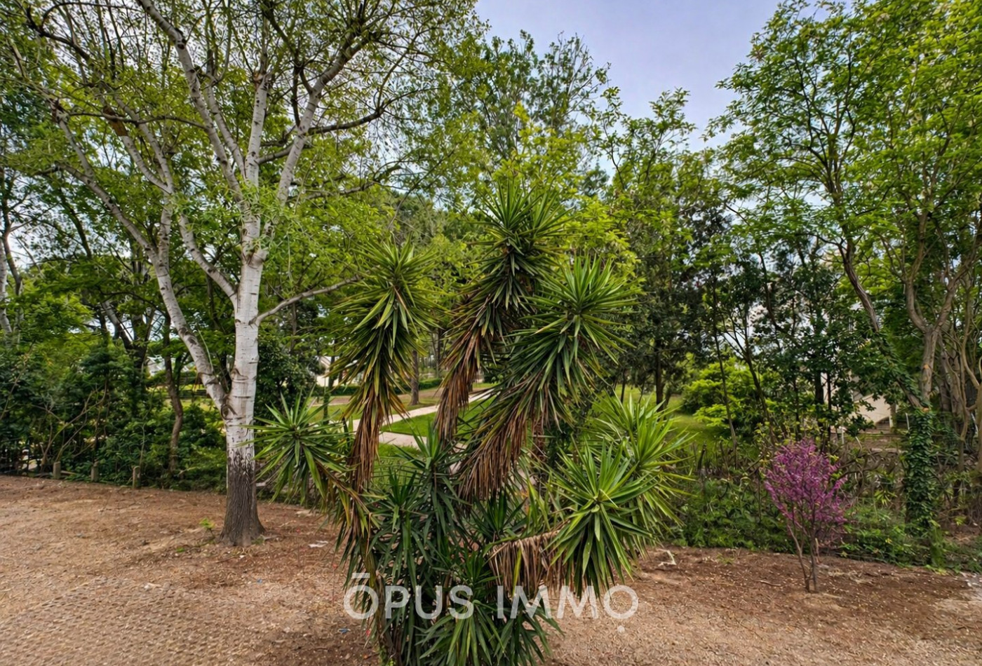 vente Appartement La Grande-motte - Photo 4
