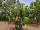 vente Appartement La Grande-motte