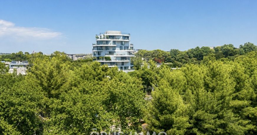 vente Appartement Montpellier