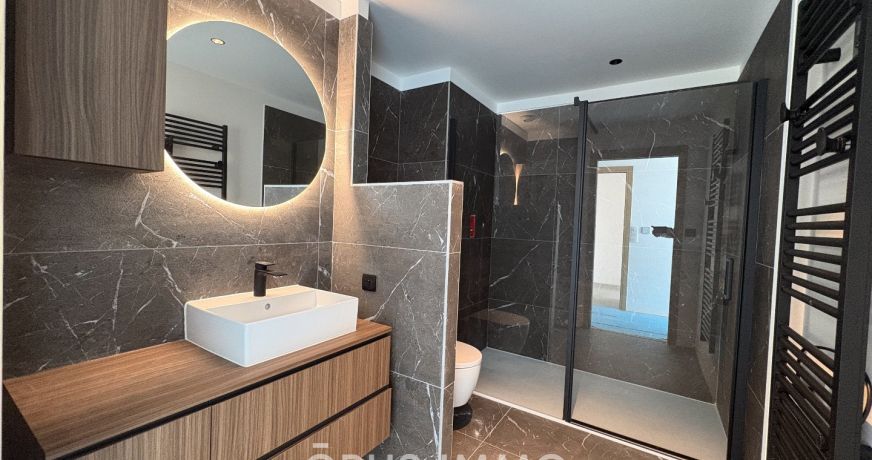 vente Appartement Castelnau Le Lez