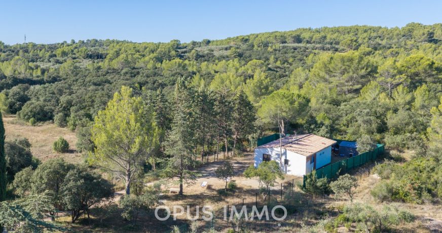 vente Maison Milhaud