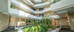 vente Appartement Castelnau Le Lez