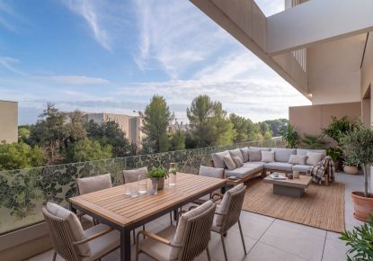 vente Appartement Castelnau Le Lez