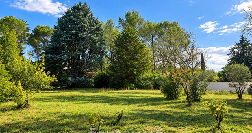vente Terrain Saint Clement De Riviere