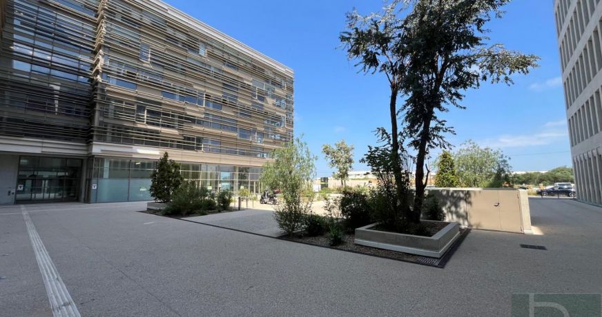 location Bureau Montpellier