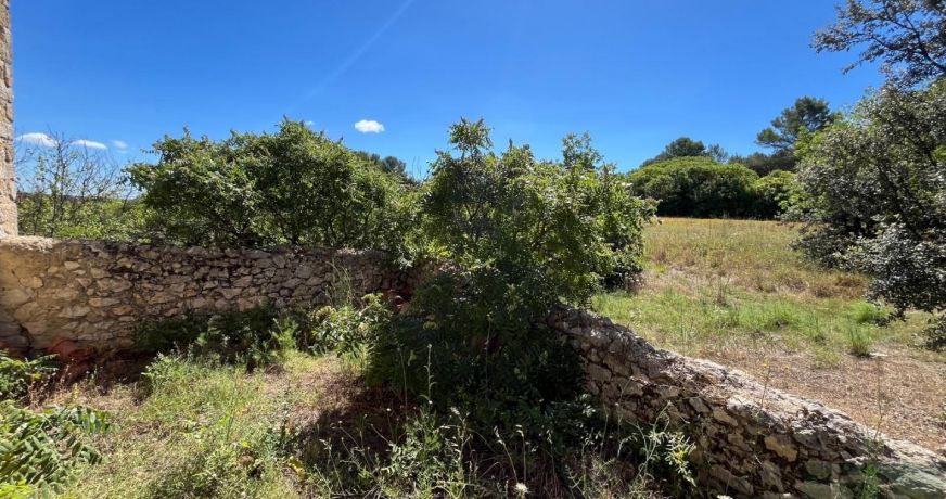 vente Castelnau Le Lez