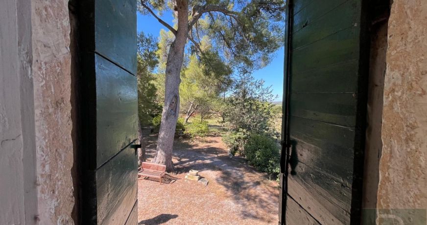 vente Castelnau Le Lez