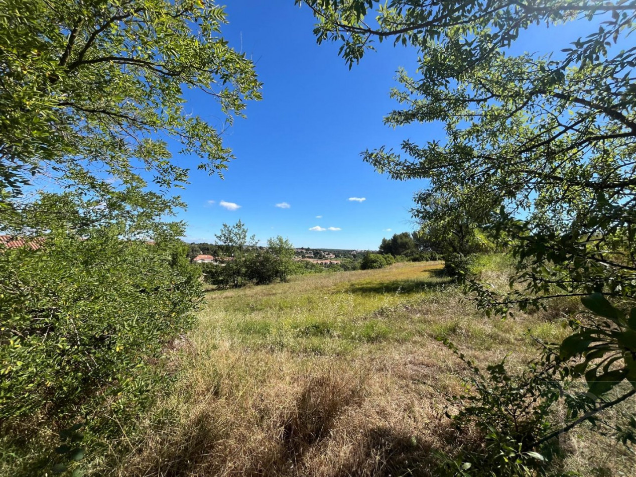 vente Castelnau Le Lez - Photo 10