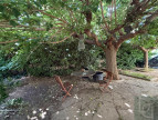 vente Maison Palavas Les Flots