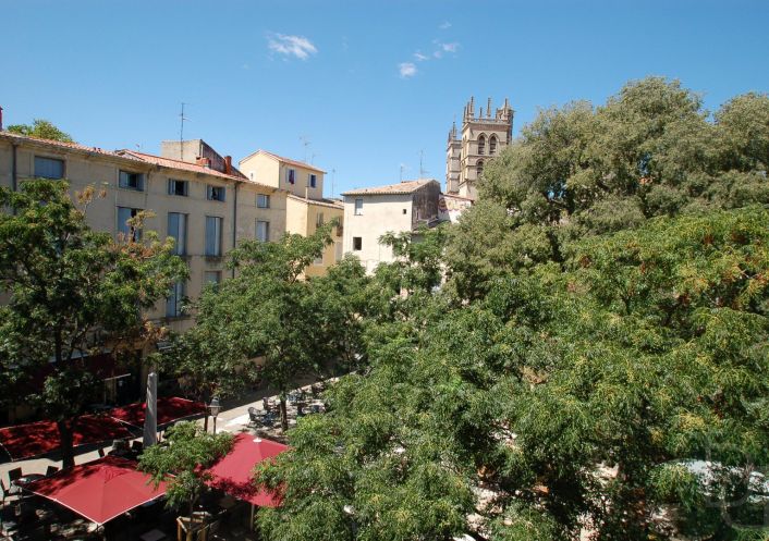 vente Immeuble de rapport Montpellier