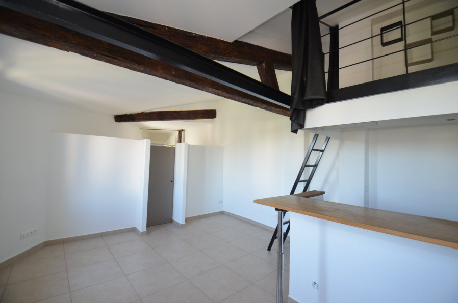location Appartement mezzanine Montpellier - Photo 1