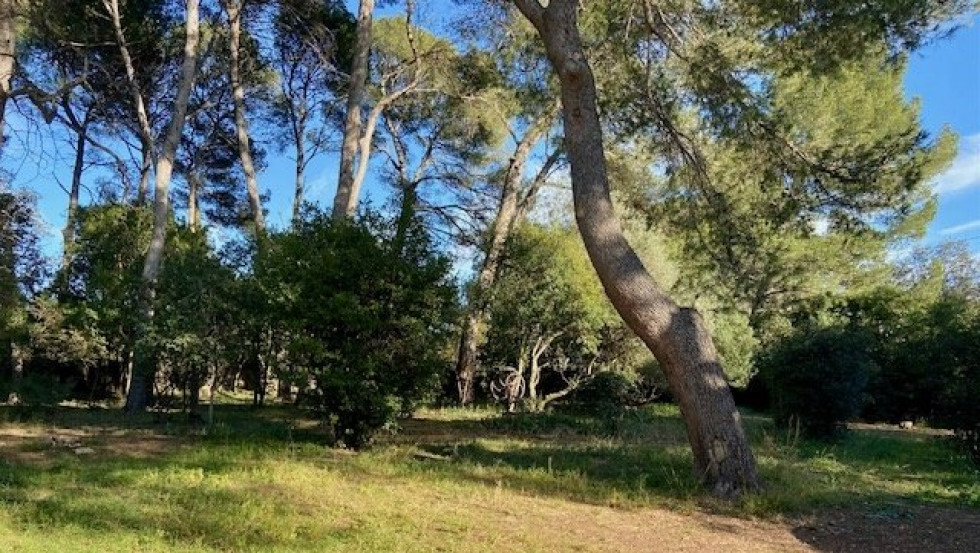 vente Maison Montpellier - Photo 1