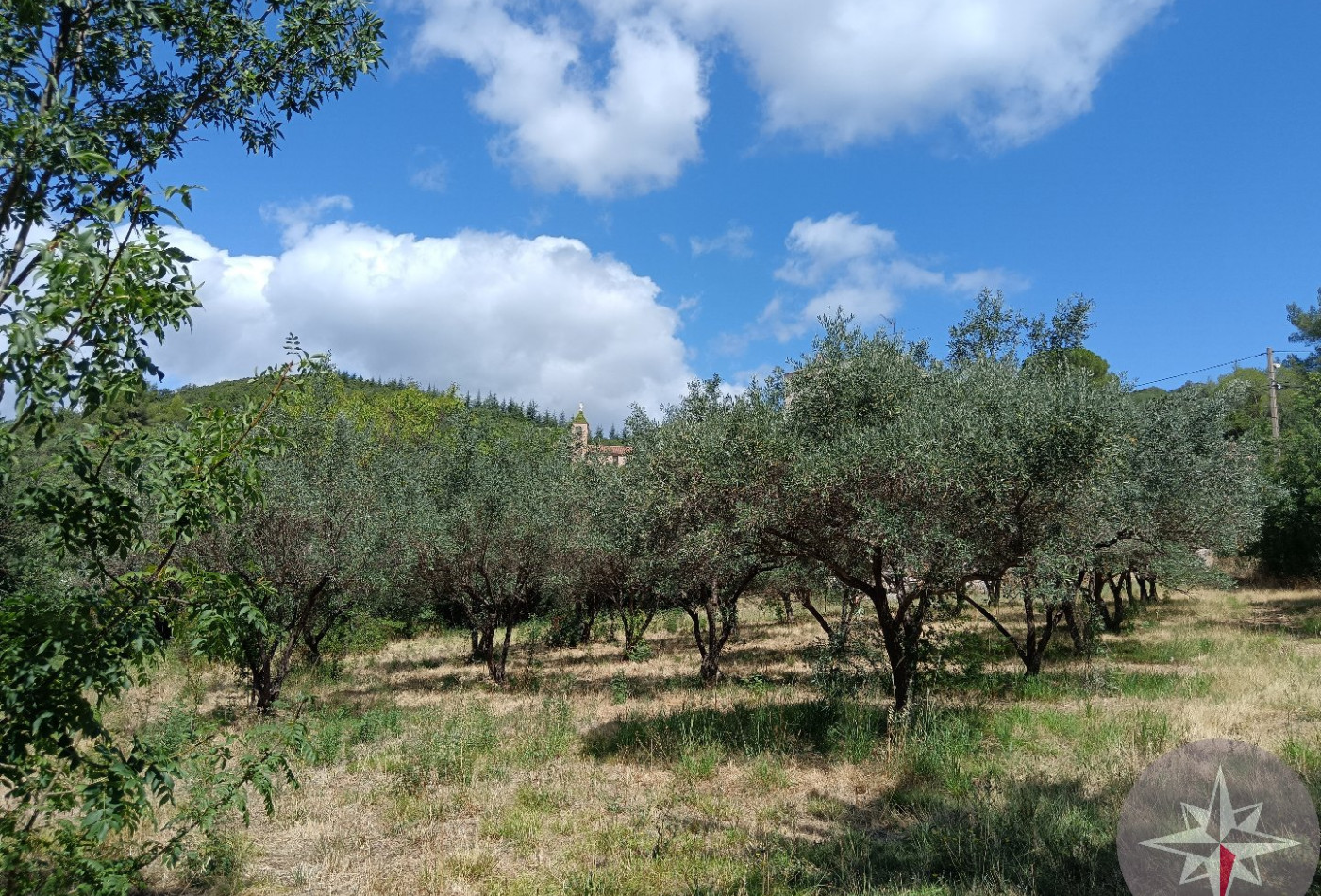 vente Terrain constructible Peret - Photo 3