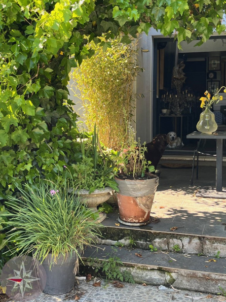 vente Maison contemporaine Aumelas - Photo 8