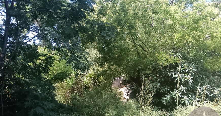 vente Appartement terrasse Cournonsec