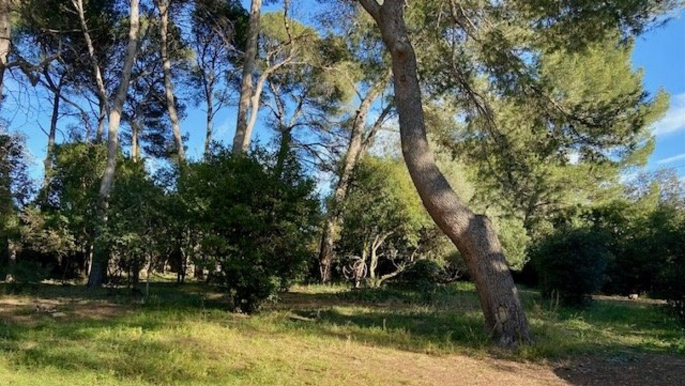à vendre Maison Montpellier - Photo 1
