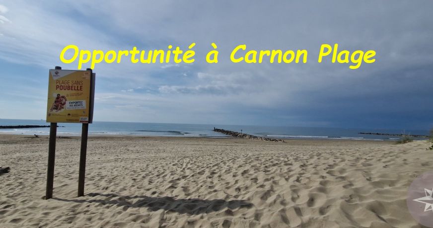 vente Appartement Carnon Plage (mauguio)