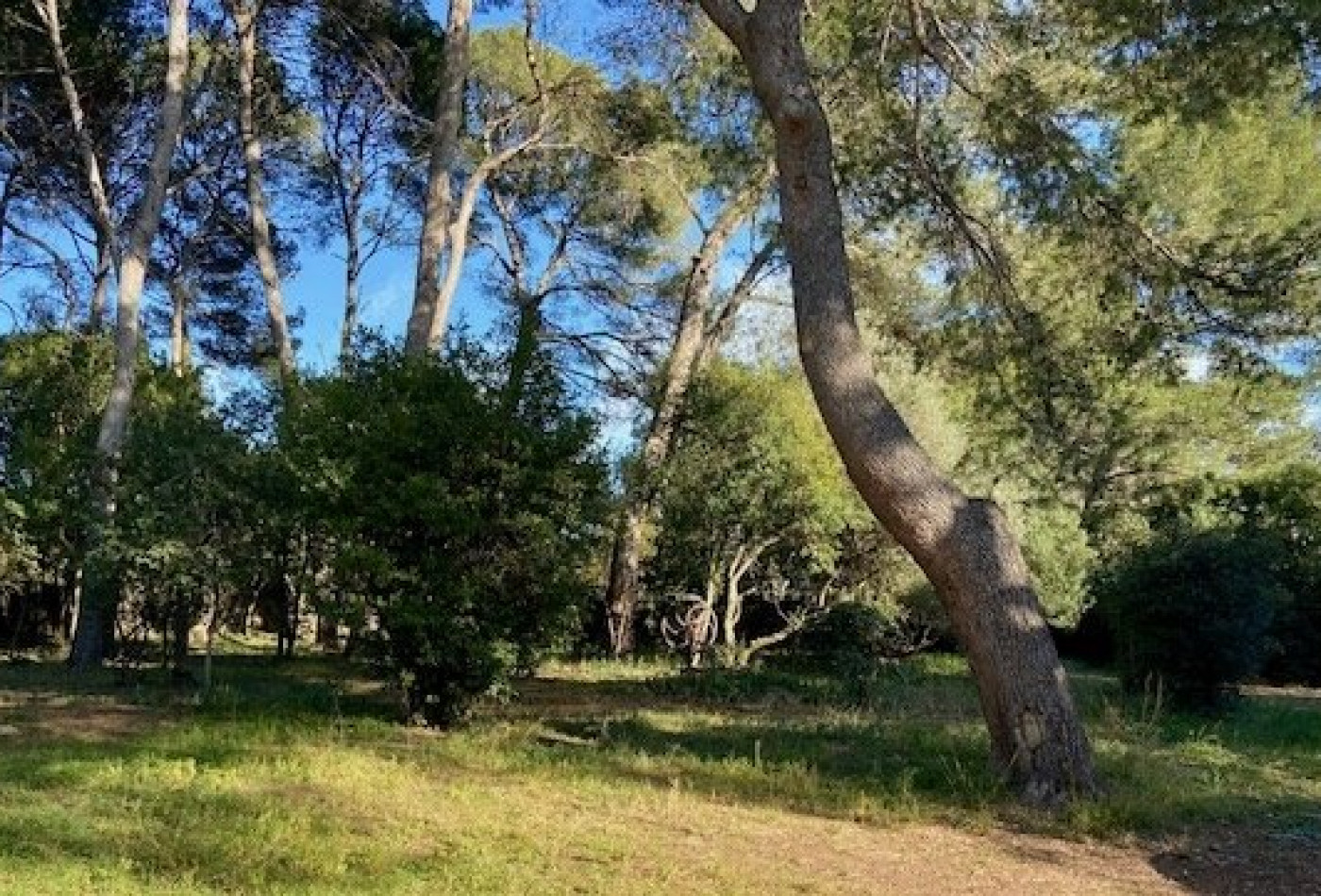 vente Maison Montpellier - Photo 1