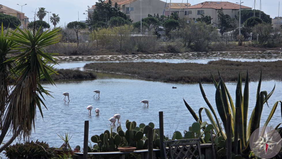 vente Maison Palavas Les Flots - Photo 1