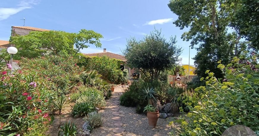 vente Locaux d'activité Frontignan