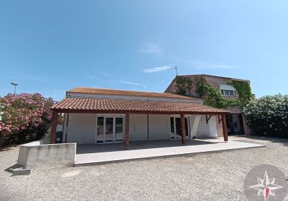 vente Locaux d'activité Frontignan