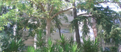 location Studio Montpellier