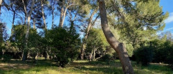 vente Maison Montpellier