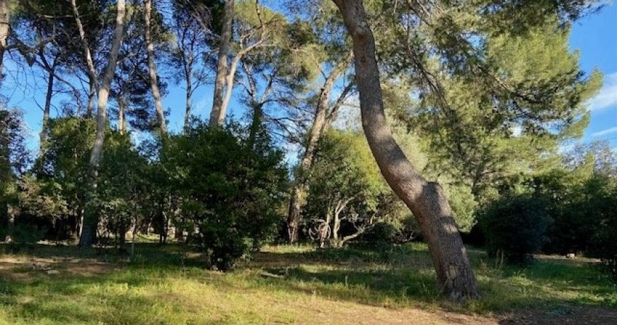 vente Maison Montpellier
