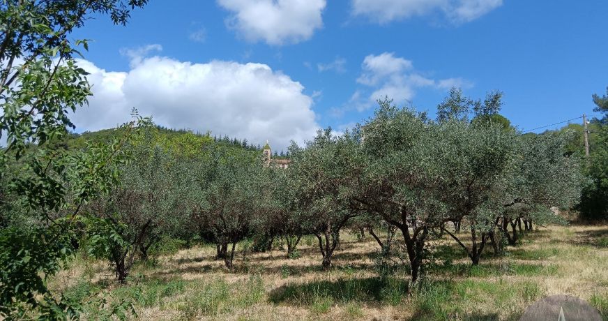 vente Terrain constructible Peret
