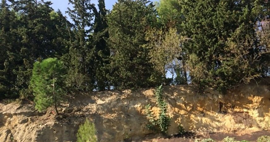 vente Maison Castelnau Le Lez