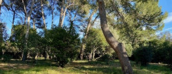 vente Maison Montpellier