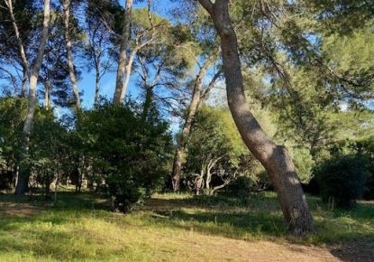 vente Maison Montpellier