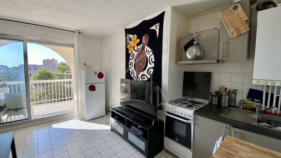 location Appartement Montpellier - Photo 1