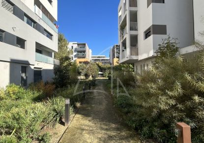 location Locaux d'activité Montpellier