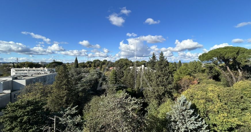 location Appartement Montpellier
