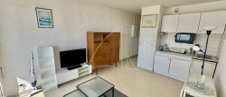location Appartement Carnon Plage (mauguio)