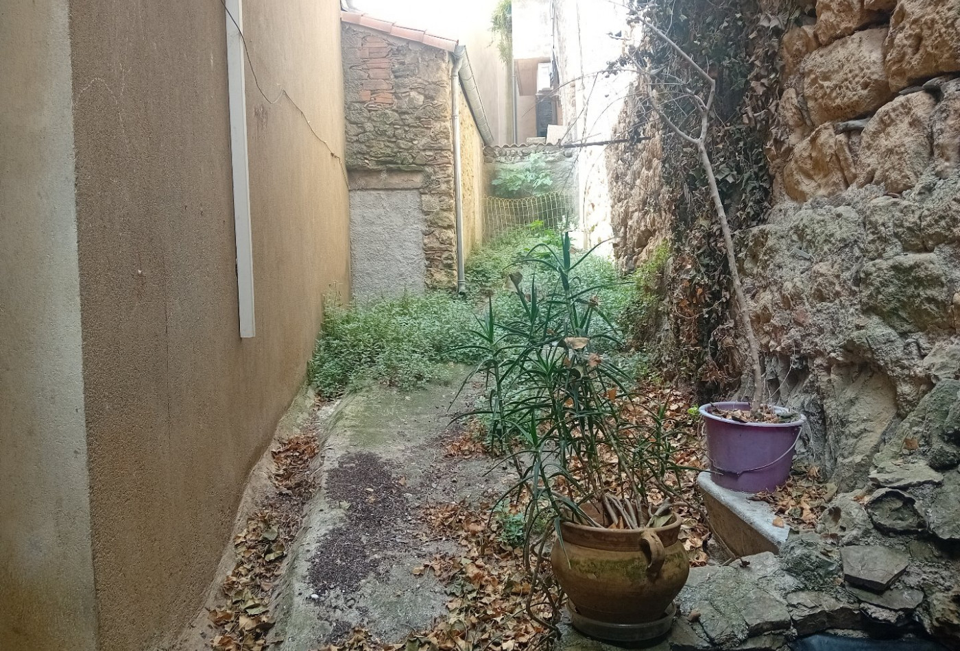 vente Maison Laurens - Photo 1