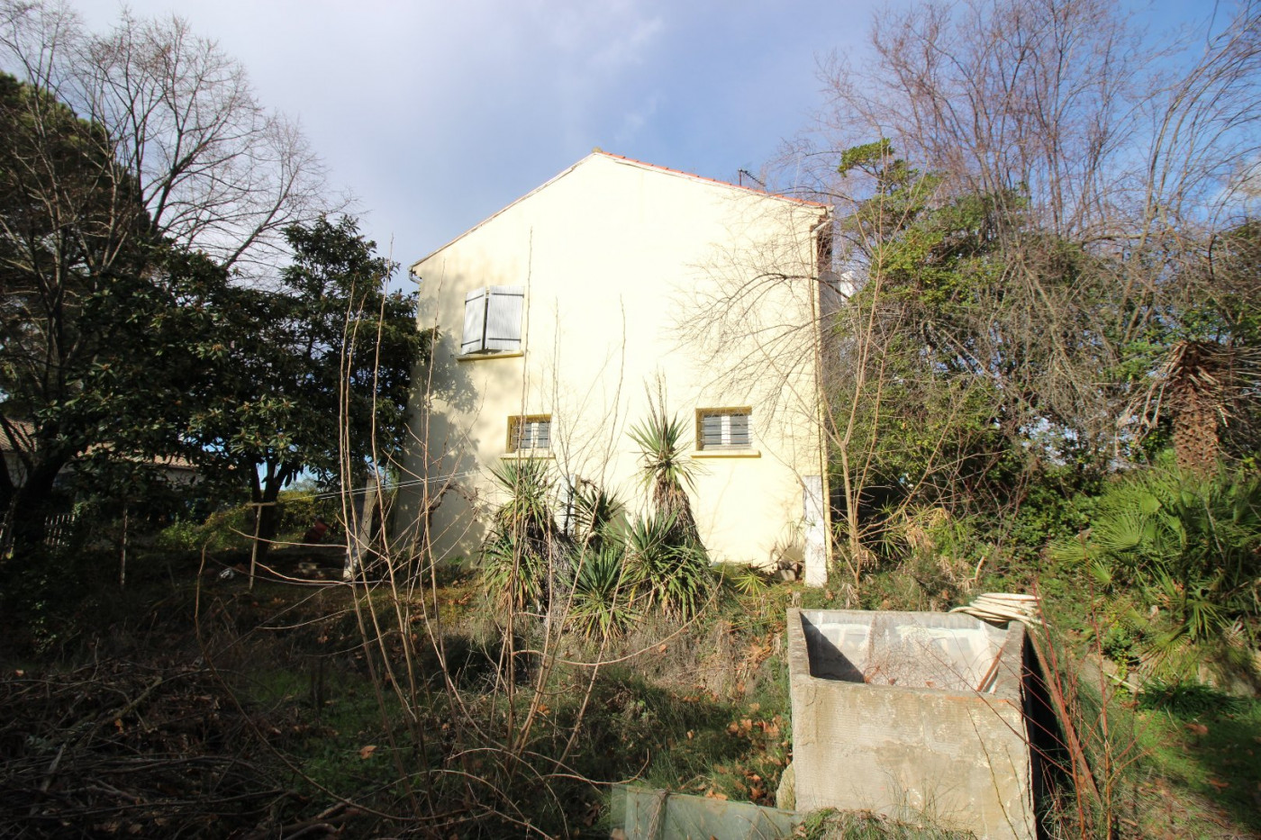 vente Maison Bassan - Photo 3