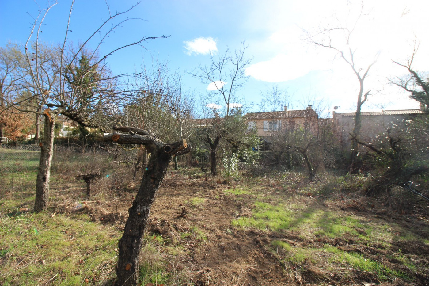 vente Maison Bassan - Photo 4