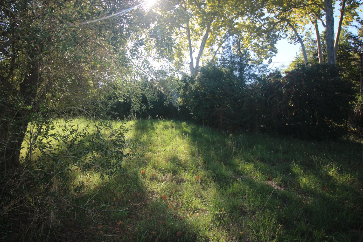vente Terrain constructible Bassan - Photo 2