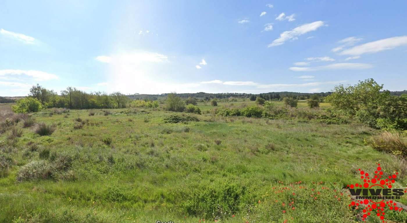 vente Terrain agricole Nissan Lez Enserune - Photo 1