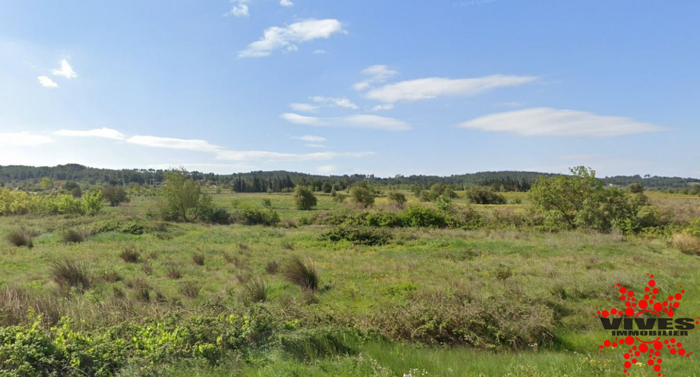 vente Terrain agricole Nissan Lez Enserune - Photo 2