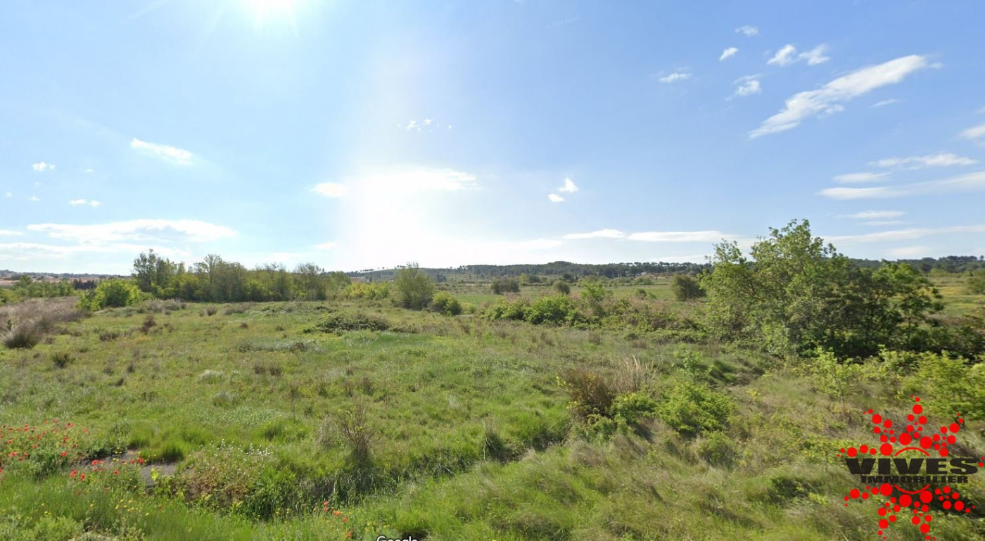 vente Terrain agricole Nissan Lez Enserune - Photo 3