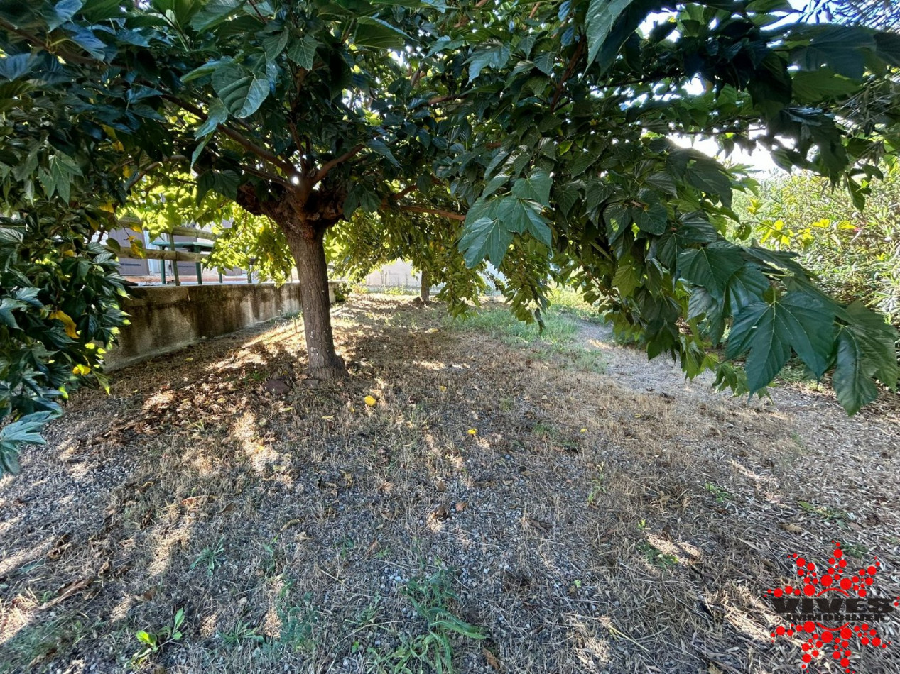 sale Maison Castelnau De Guers - Photo 11