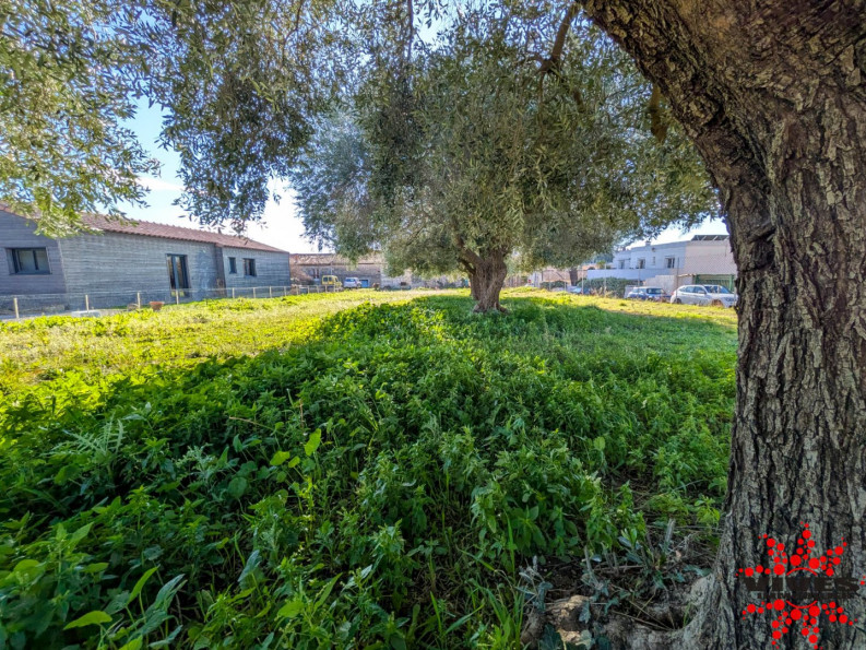 vente Terrain constructible Pouzolles - Photo 2