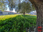 vente Terrain constructible Pouzolles