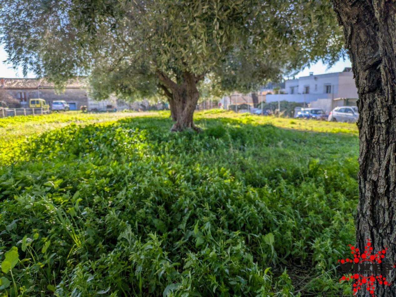 sale Terrain constructible Pouzolles - Photo 5