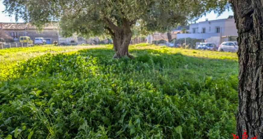 vente Terrain constructible Pouzolles